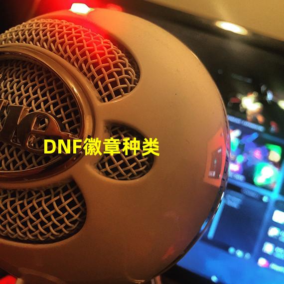 DNF徽章种类