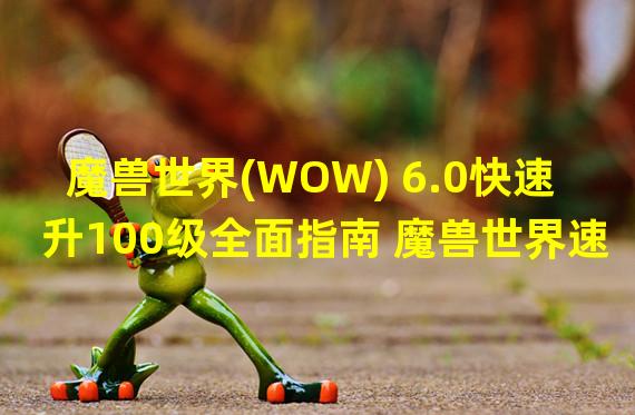 魔兽世界(WOW) 6.0快速升100级全面指南 魔兽世界速冲